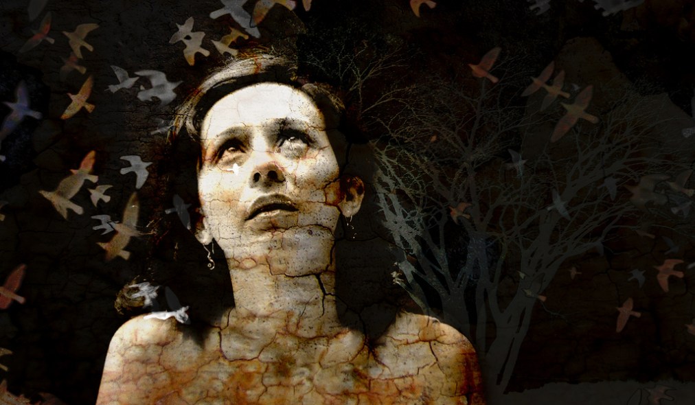 OPEN 2018: Growing the&nbsp;commons